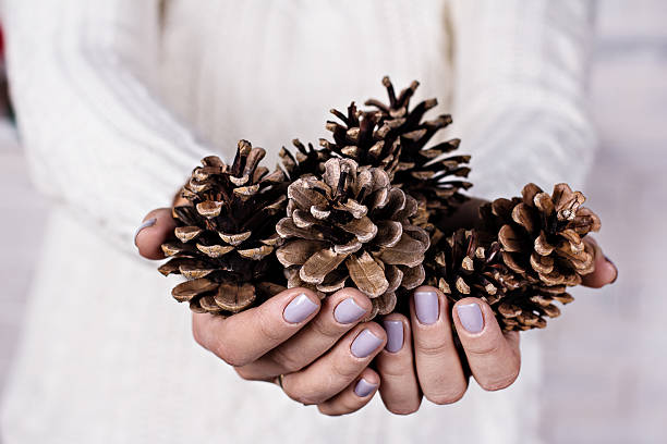 istock Christmas composition. Fir branches and Christmas decorations 628297164