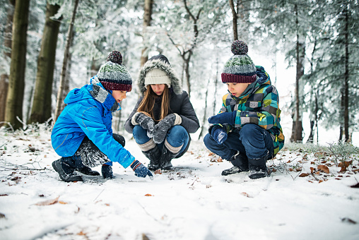 Kids observing animal tracks on snow in winter forest