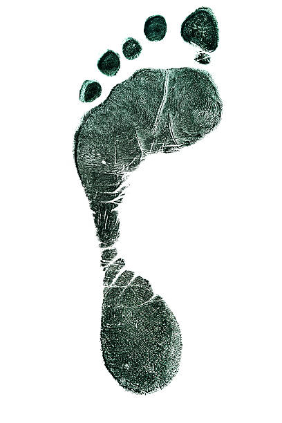 istock Monochromatic footprint. Isolated on white. 628304298