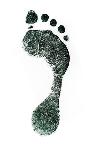 istock Monochromatic footprint. Isolated on white. 628304422