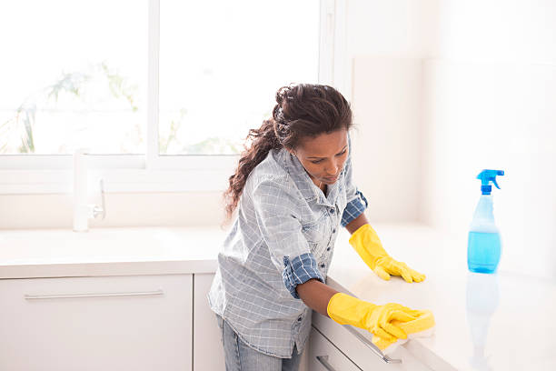 7,300+ Woman Cleaning Kitchen Counter Stock Photos, Pictures & Royalty-Free  Images - iStock