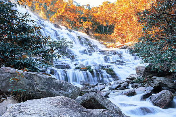 istock Waterfall in rainforest at northern of Thailand. 628308804