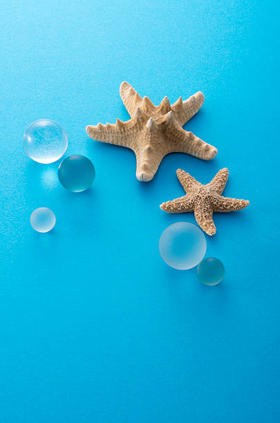istock Ornament of starfish 628318684