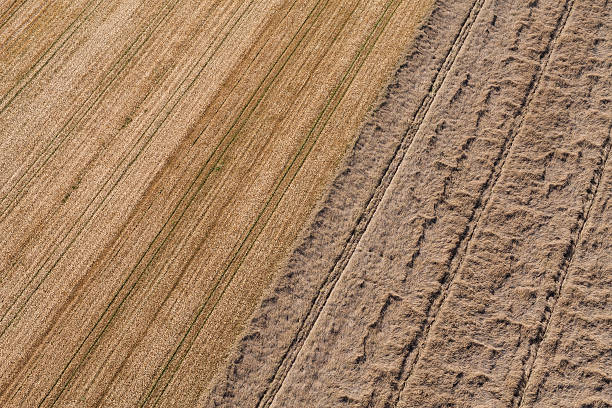istock aerial view of green harvest fields 628319286