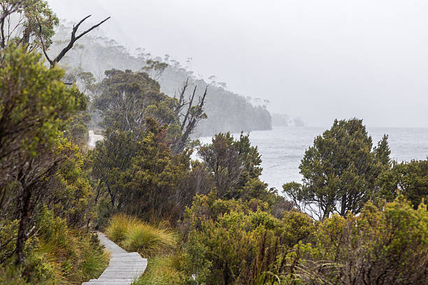 Rain is pouring down on the boardwalk on Dove Lake Circuit in Cradle Mountain NP, Tasmania