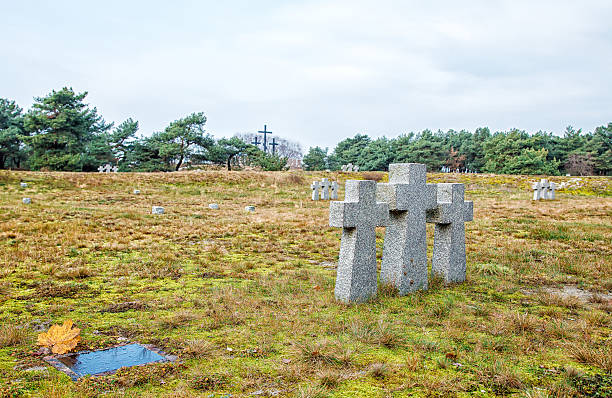 istock stone crosses in the old cemetery 628328160