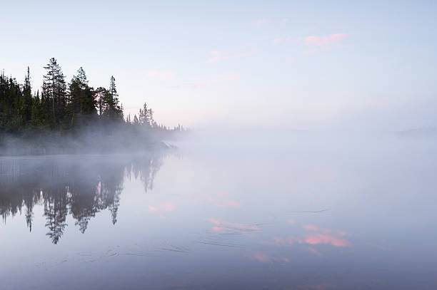 istock landscape misty morning on the lake 628330936