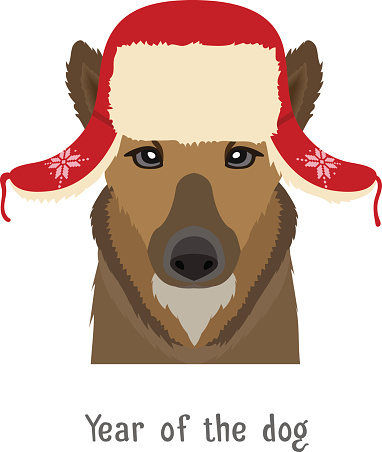 Vector dog head in winter new year, christmas ear-flapped hat. Animal of Chinese zodiac,horoscope symbol. flat cartoon illustration isolated. Poster, banner, print advertisement, web design element
