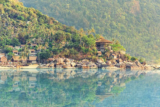 Phangan beach with white sand and tall palms