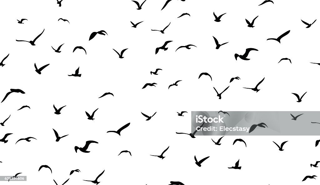 Möwen fliegen am Himmel, nahtloses Vektormuster - Lizenzfrei Vogel Vektorgrafik