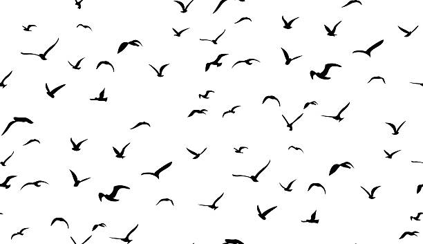 mewy latające na niebie, bezszwowy wzór wektorowy - stado ptaków ilustracje stock illustrations