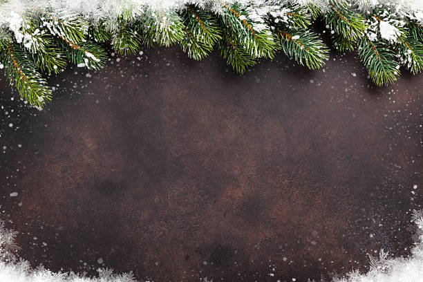 Christmas background with snow fir tree