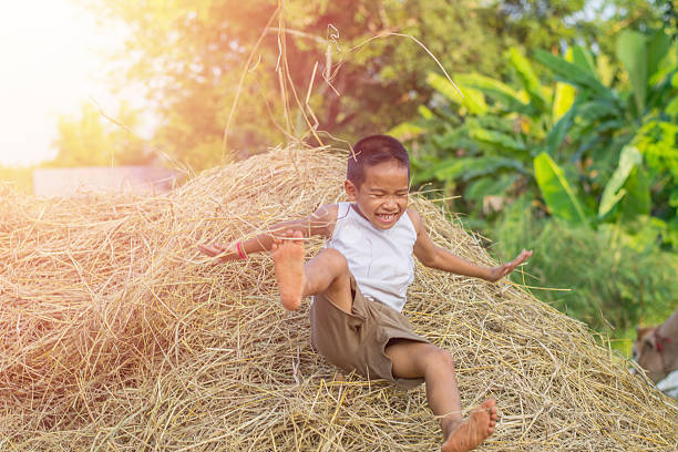 Close up of a female farmer lifts and carries a bale of hay across the barn.