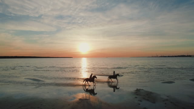 Two GIrls are Riding Horses on a Beach. Horses Run Towards the Sea. Beatiful Sunset is Seen in this Aerial Shot.