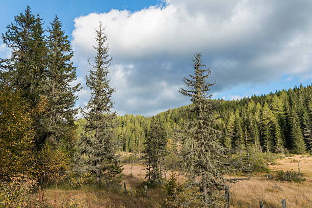 istock Lake Prebersee in Lungau in Austria 628347122
