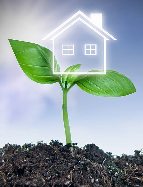 istock Real estate new investment concept 628349416