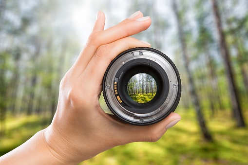 photography view camera photographer lens forest trees lense through video photo digital glass hand blurred focus people concept - stock image