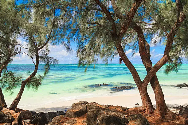 Photo of Sea and Vegetation Ile aux Cherves Deer Island Mauritius