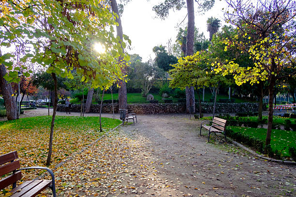 istock The  autumn in Alcala de Henares, Madrid Spain 628358166