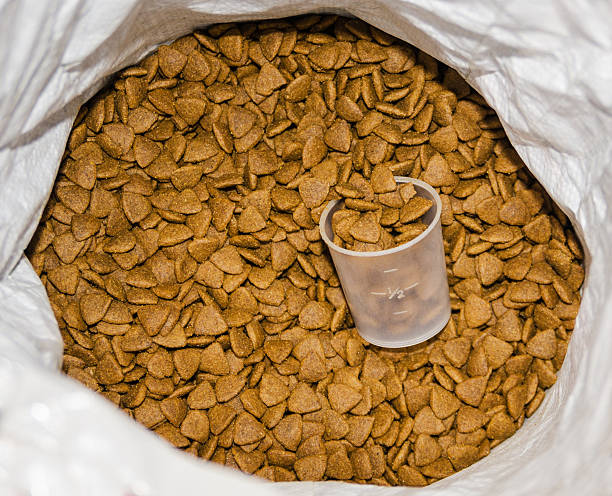 istock pet food in the bag 628359622
