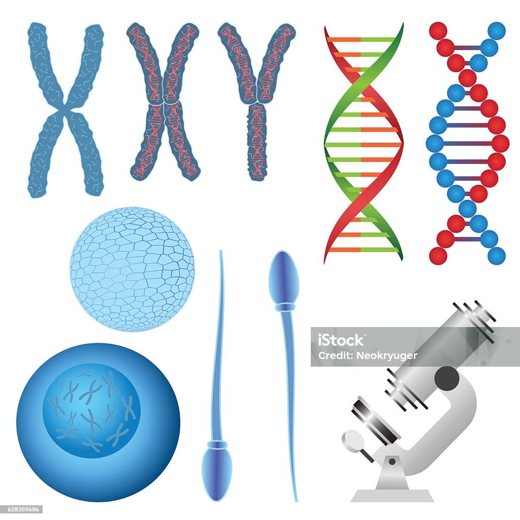 Set of biology objects. Set of biology objects. Chromosome and DNA, egg and sperm, microscope. Chromosome stock vector