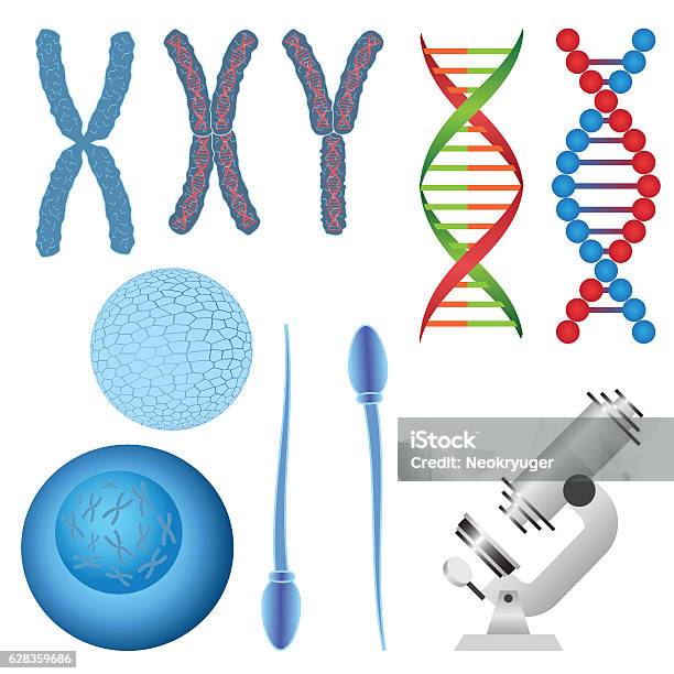 Set Of Biology Objects Stock Illustration - Download Image Now - Chromosome, Atom, Biology
