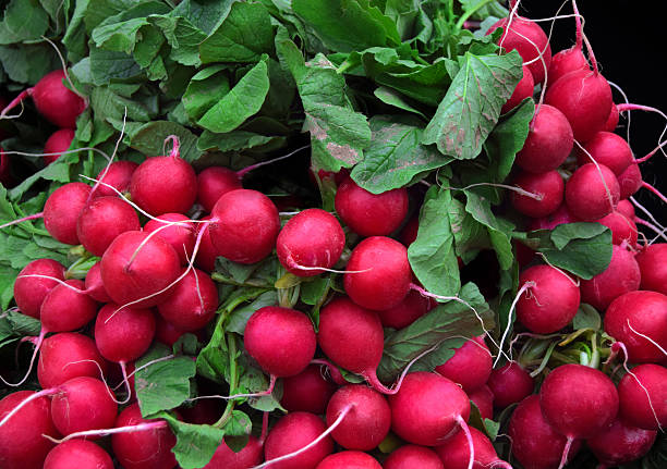 rábanos frescos en el mercado de birmingham - radish fotografías e imágenes de stock