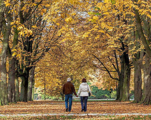 istock Senior couple walking holding hands at autumn in park 628363868