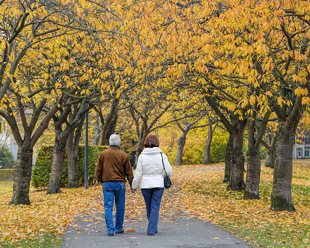 istock Senior couple walking holding hands at autumn in park 628363976