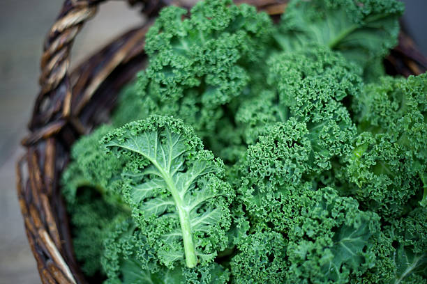 Kale in rustic basket on daylight  close Up stock photo