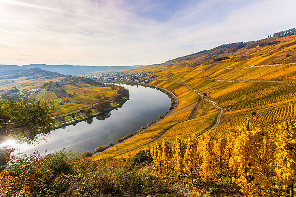 istock Autumn Colorful Moselle Landscape and 628364448