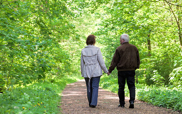 istock Senior couple walking holding hands in spring forestin park 628365346