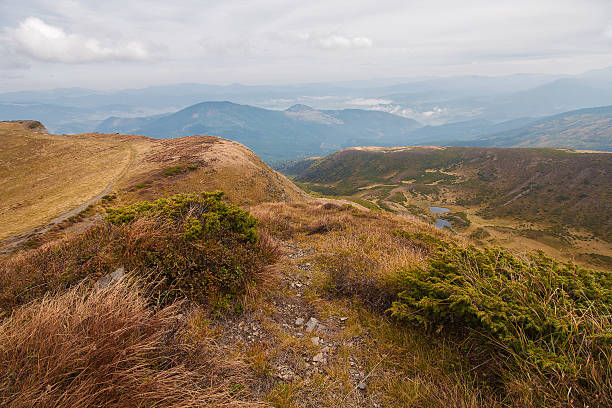 istock Autumn mountain landscape with yellowed grass. Carpathians 628366132