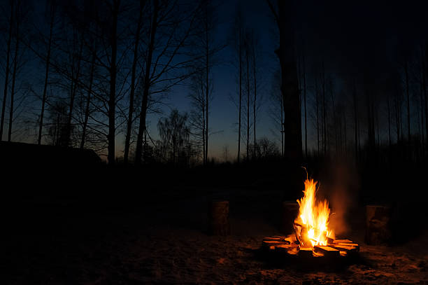 fogueira de acampamento - campfire imagens e fotografias de stock