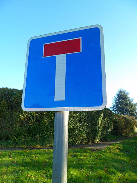 Close-up of 'No through road' road sign. Blue rectangular Ministry of Transport information sign. Red horizontal bar above a white column. Hedge and blue sky in rear.
