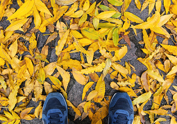 istock Blue shoes with yellow fallen leaves. 628391964