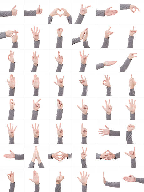 istock Collection set of many different hands symbols isolated on white 628399394