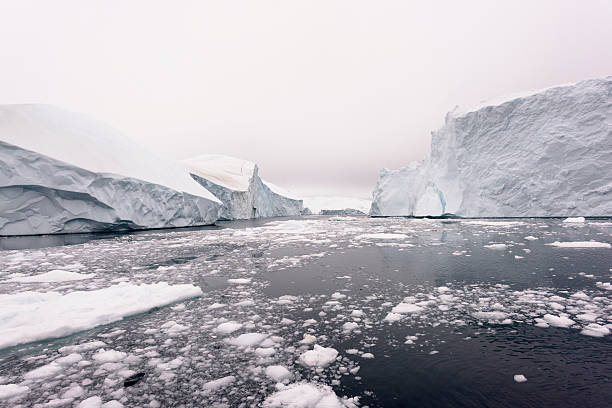 istock Icebergs on frozen arctic ocean in Greenland 628400074