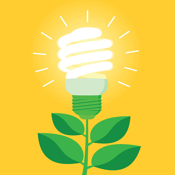 Green Energy Efficient Cfl Light Bulb Stock Illustration - Download Image  Now - Energy Efficient, Green Color, Contemplation - iStock
