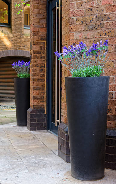 Flower bed with beautiful violet flowers in London UK Flower bed with beautiful violet flowers at the entrance of the building at Bankside in London in UK bankside photos stock pictures, royalty-free photos & images