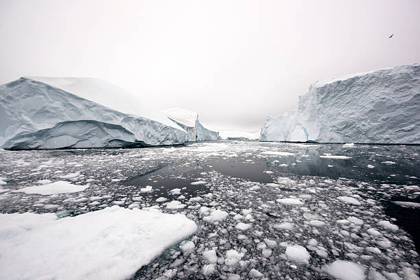 istock Icebergs on frozen arctic ocean in Greenland 628401430