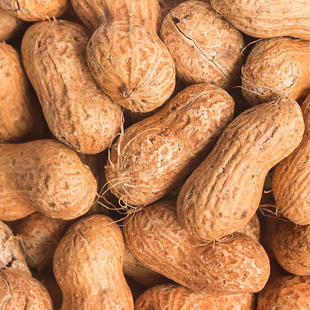 pilha de amendoins. fundo shell sementes - peanut nut snack isolated - fotografias e filmes do acervo