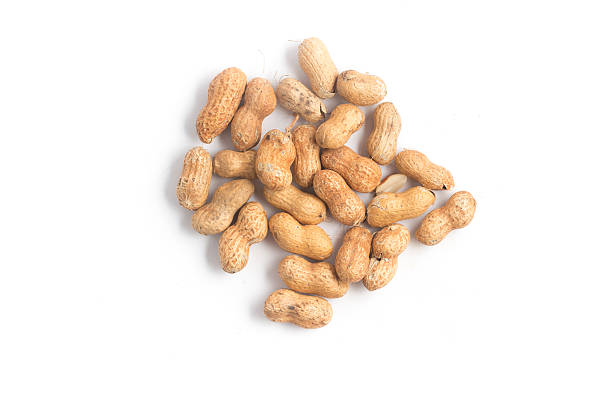 pilha de amendoins. sementes de concha - peanut nut snack isolated - fotografias e filmes do acervo