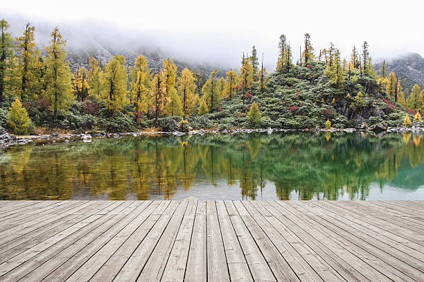 istock Wooden board towards landscape 628409516
