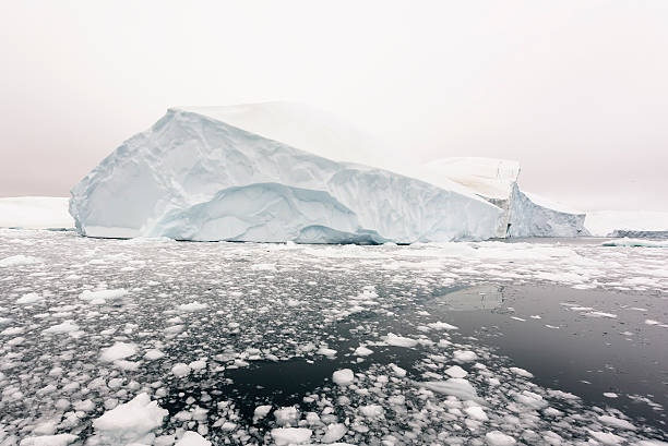 istock Icebergs on frozen arctic ocean in Greenland 628411584
