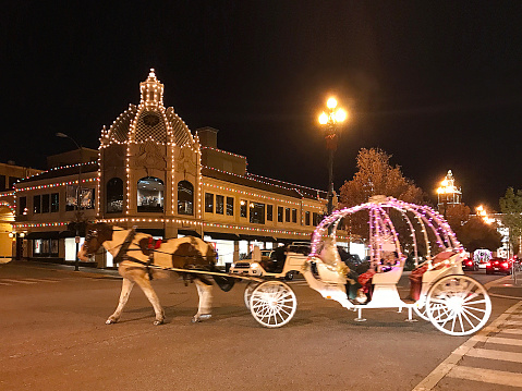 Beautiful Christmas Lights. Horse and Carriage.