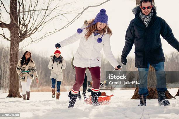 Grupo De Amigos Disfrutando Tirando De Un Trineo En La Nieve Foto de stock y más banco de imágenes de Actividad