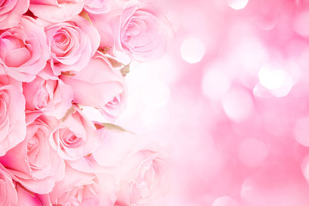 istock close up sweet light pink on pink abstract lighting 628428024