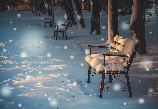 istock New year's magic. Snow in a deserted Park 628439470
