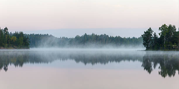 istock morning fog in the forest lake 628440358